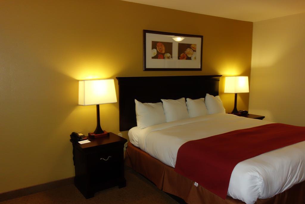 Comfort Inn & Suites Rome South Buitenkant foto